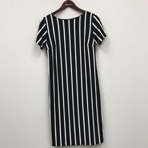 Black and white stripped knee length dress